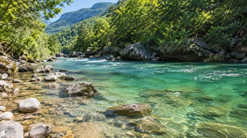 baignade en rivière