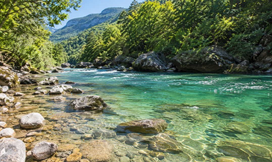 baignade en rivière